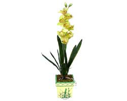 zel Yapay Orkide Sari  Bursa iek orhangazi internetten iek siparii 
