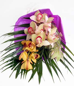  Bursa iek ucuz iek gnder  1 adet dal orkide buket halinde sunulmakta