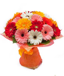 Renkli gerbera buketi  Çiçekçi Bursa sitesi nilüfer çiçek siparişi vermek 
