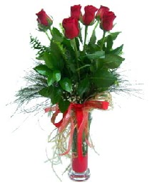 vazo içerisinde 5 kırmızı gül  Bursa çiçek kestel uluslararası çiçek gönderme 