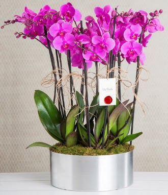 11 dall mor orkide metal vazoda  ieki Bursa sitesi nilfer anneler gn iek yolla 