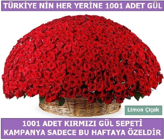 1001 Adet kırmızı gül Bu haftaya özel  Bursa çiçekçiler nilüfer cicekciler , cicek siparisi 