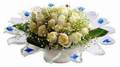 cam günes ve dolunay bembeyaz  Bursa çiçek büyük orhan yurtiçi ve yurtdışı çiçek siparişi 