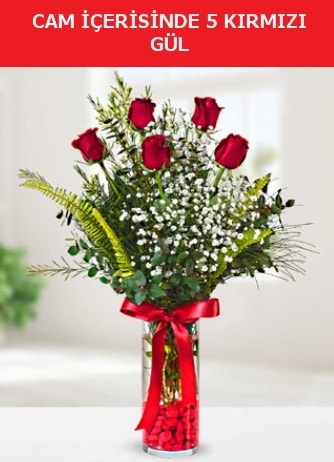 Cam içerisinde 5 adet kırmızı gül  Online Bursa çiçekçi 